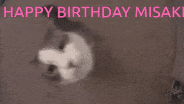 a close up of a cat with the words happy birthday misaki written above it