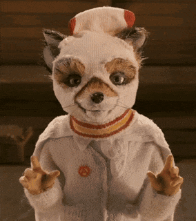 a stuffed animal that looks like a fox wearing a sweater and a hat