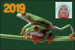Cebong Frog GIF - Cebong Frog Fall GIFs