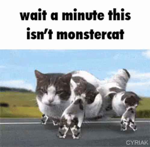 Monstercat GIF - Monstercat GIFs