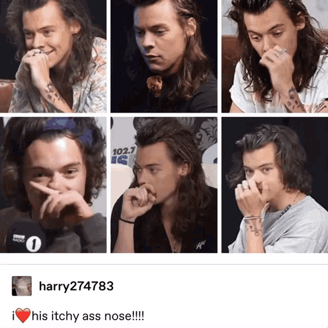 Harry Styles Harry Styles Nose GIF