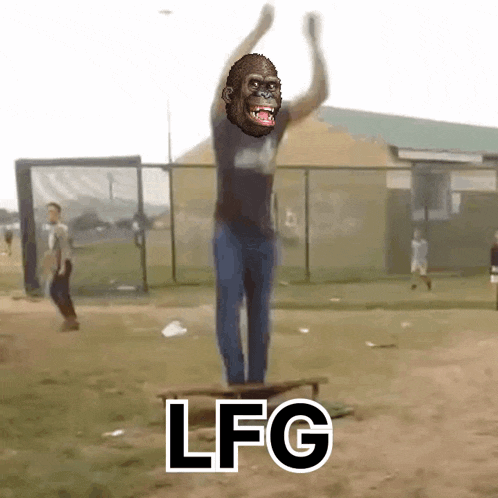 a man with a gorilla on his face is jumping in the air with the word lfg written below him