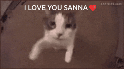 Sanna GIF