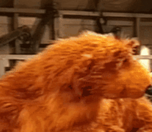 a close up of a stuffed animal that looks like a lion