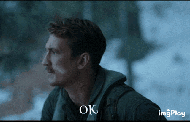 a close up of a man 's face with the words " ok " below him