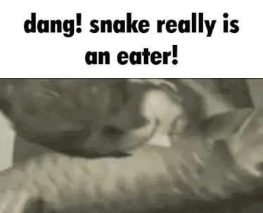 a black and white photo of a snake and the words dang snake really is an eater