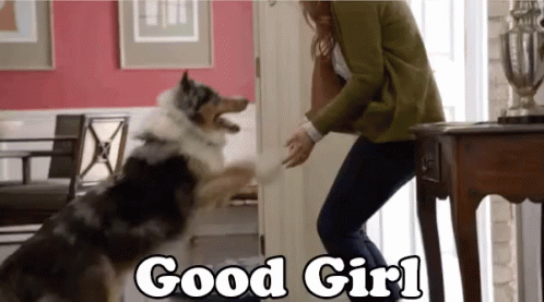 Good Girl GIF - Good Girl Happy Dog GIFs