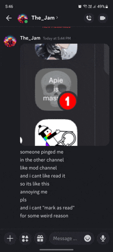 a screenshot of a conversation between the_jam and a person named apie