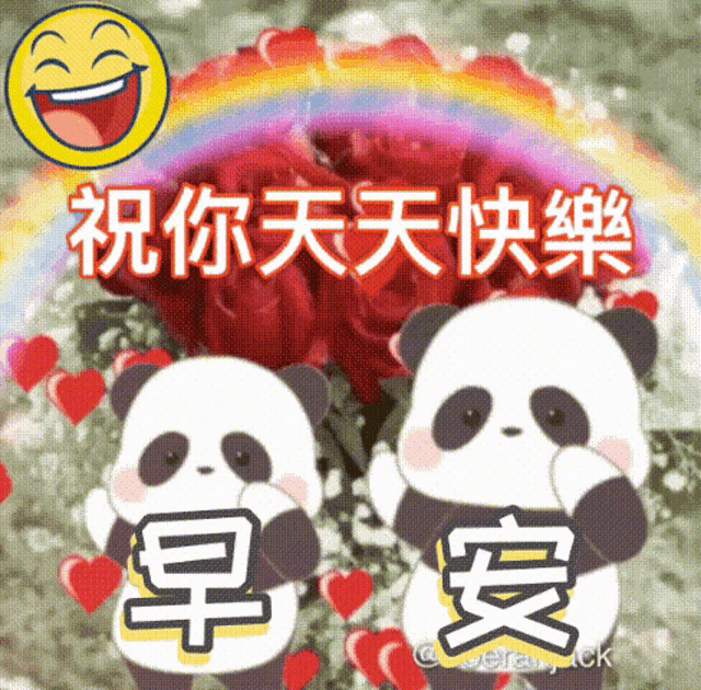 a couple of panda bears standing next to each other with chinese writing on them