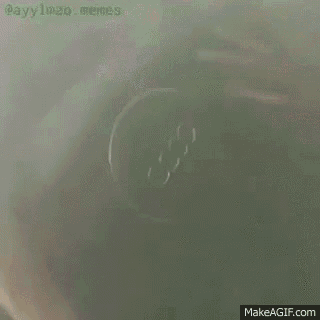 a close up of a person 's face with a green shirt on make a gif .