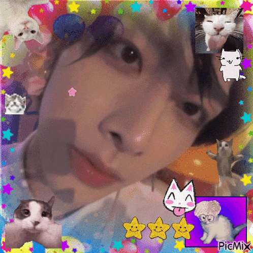 a collage of cats and stars with the word picmix on the bottom