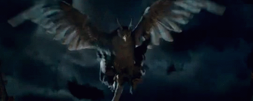 Fantastic Beasts Fantastic Beasts And Where To Find Them GIF - Fantastic Beasts Fantastic Beasts And Where To Find Them Bird GIFs