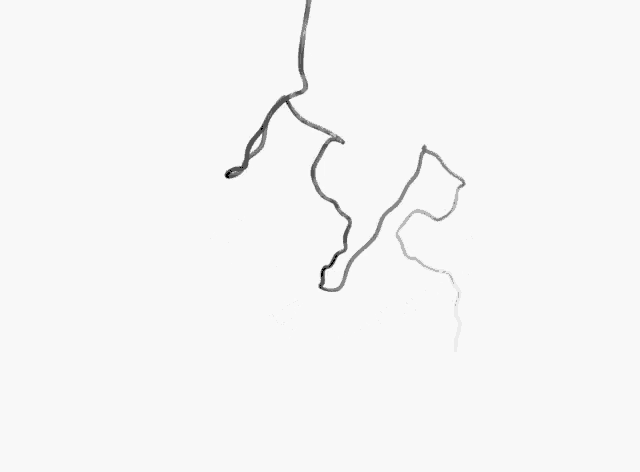 a pair of swirls on a white background