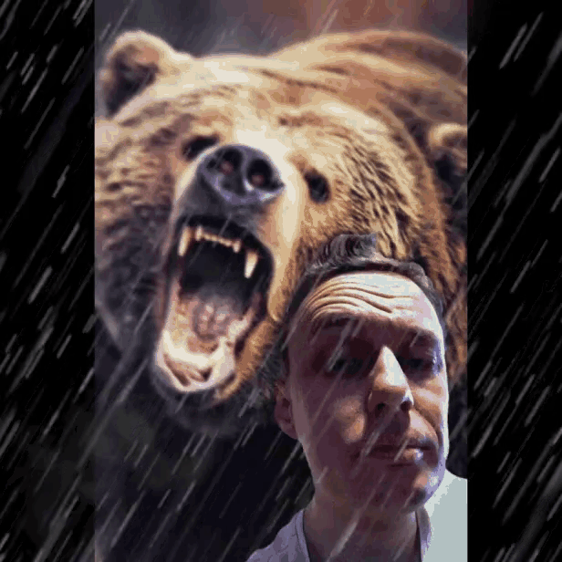 Bear Behind GIF - Bear Behind From GIFs