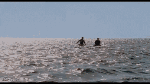 So Progressive GIF - Forgetting Sarah Marshall Surfing Floating GIFs