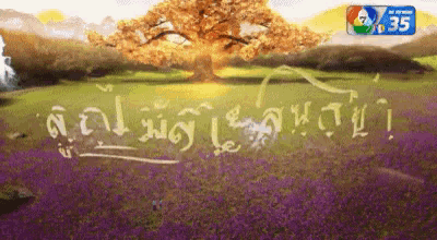 a purple field with a tree in the background and the number 35 in the corner