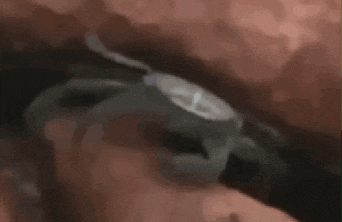 a blurred image of a watch with the word rolex on it