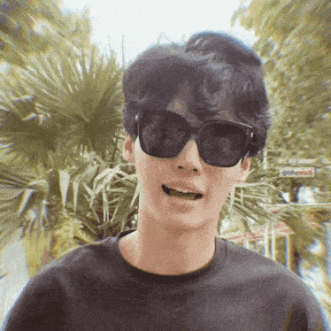 a young man wearing sunglasses and a black shirt is smiling .