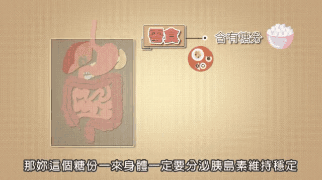 a diagram of the human digestive system with chinese writing on it