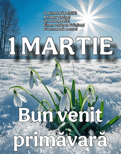 a poster that says 1 martie bun venit primavara with flowers in the snow