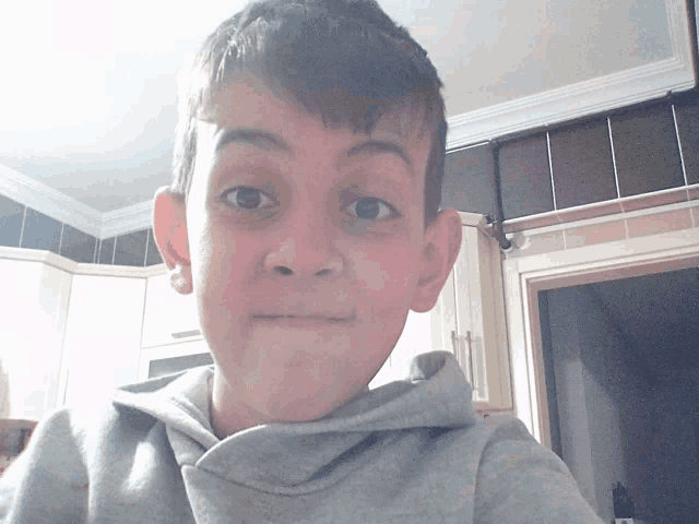 a young boy wearing a gray hoodie looks at the camera