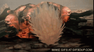 a gif that says make gifs at gifsoup.com is displayed