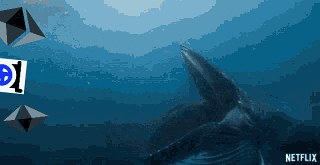 Flexpool Whale GIF - Flexpool Whale Ethereum GIFs