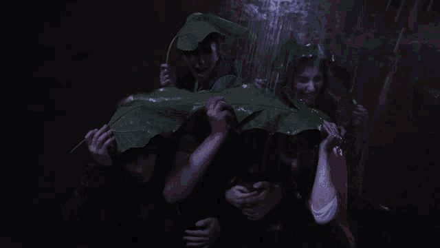 a group of people are holding a large green leaf in the rain