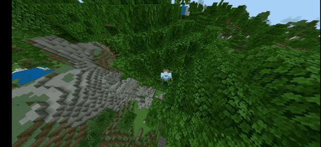a person is standing in the middle of a lush green forest in a video game