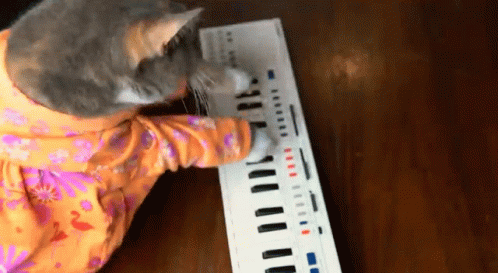 Musica Miau GIF - Musica Miau Gato GIFs