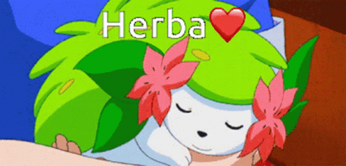 Herba Pokemon GIF