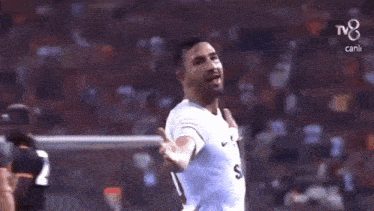 a soccer player is celebrating a goal on the field .