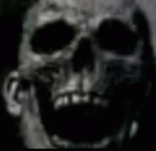 Skull GIF - Skull GIFs