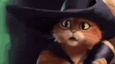 a cat wearing a cowboy hat is talking on a phone .