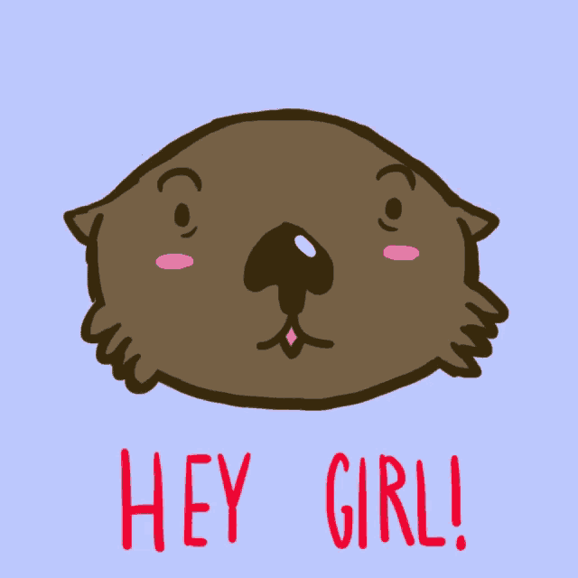 a cartoon of an otter with the words hey girl below it