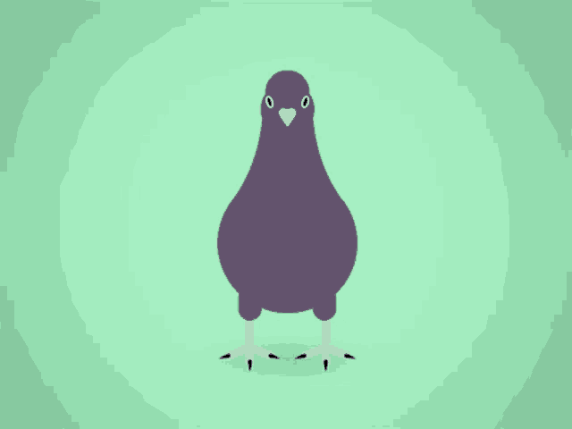 a purple pigeon with pink feet and a pink beak stands on a green background