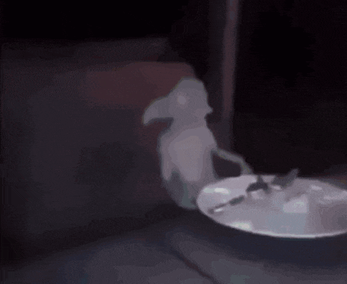 a ghost is visible in the dark behind a plate of food .