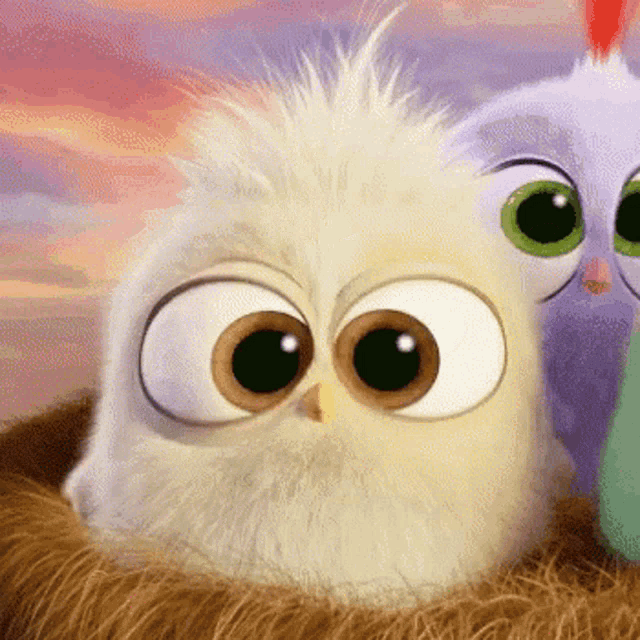 a close up of a cartoon owl sitting in a nest next to another owl .