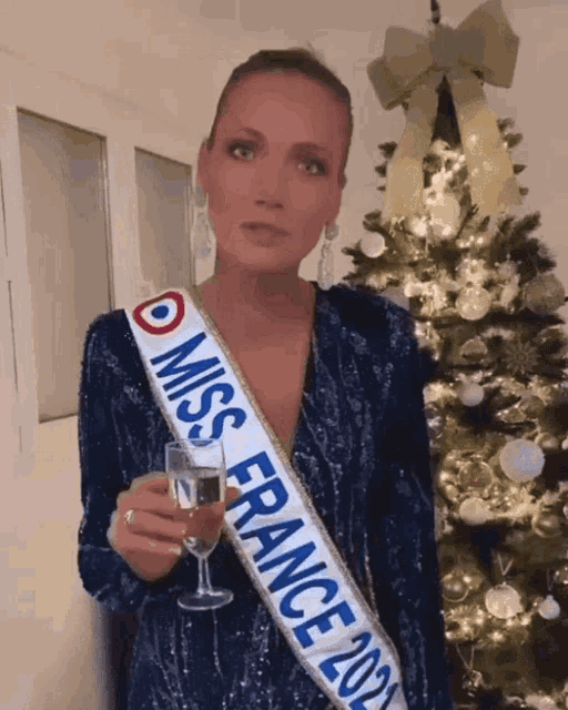 Miss France 2021 GIF - Miss France 2021 Aa GIFs