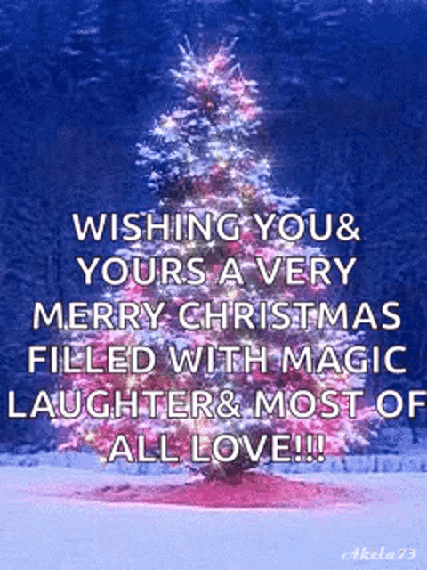 Christmas Christmas Tree GIF