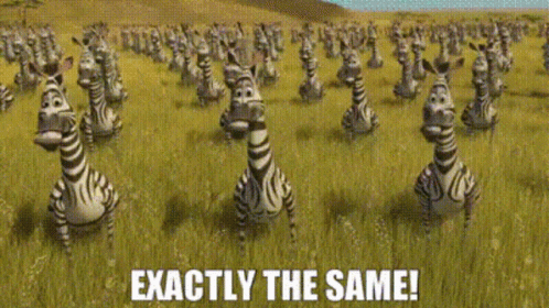 Madagascar Zebras GIF - Madagascar Zebras Exactly The Same GIFs