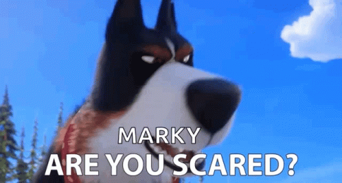 Are You Scared Chicken GIF - Are You Scared Chicken Scaredy Cat GIFs