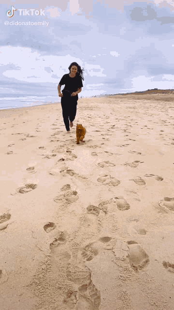 a woman walking a dog on a beach with a tiktok watermark on the bottom