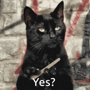 a black cat is holding a nail file in its paws and asking " yes "