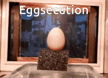 a picture of an egg with the words eggsecution on the bottom