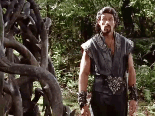 a man with a beard and a sword is standing in a forest .