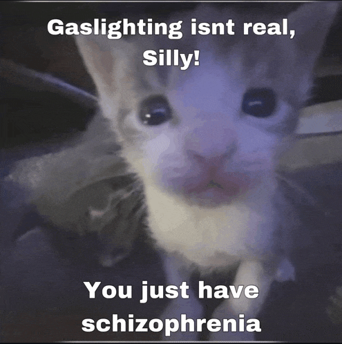 a cat with a caption that says gaslighting isnt real silly