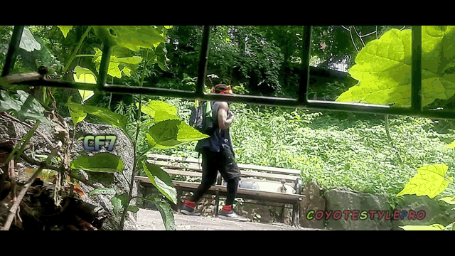 a person walking in a park with the word coyote style on the bottom right