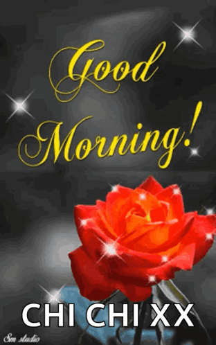 Good Morning Rose GIF - Good Morning Rose Red GIFs