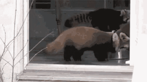 Good Mythical Morning Good GIF